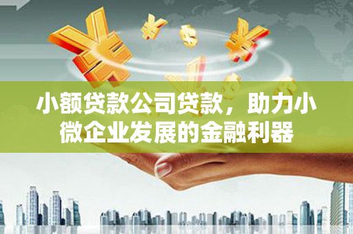 石屏小额贷款公司贷款，助力小微企业发展的金融利器