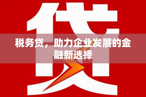 石屏税务贷，助力企业发展的金融新选择