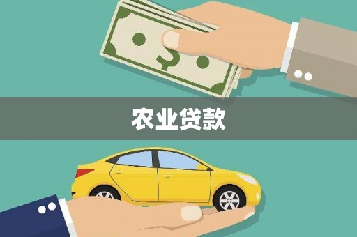 石屏农业贷款