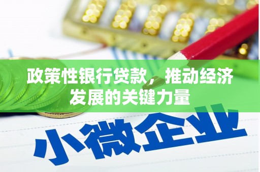 石屏政策性银行贷款，推动经济发展的关键力量