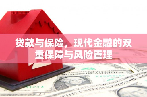 石屏贷款与保险，现代金融的双重保障与风险管理