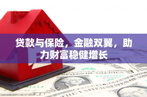 石屏贷款与保险，金融双翼，助力财富稳健增长