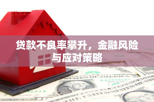 石屏贷款不良率攀升，金融风险与应对策略
