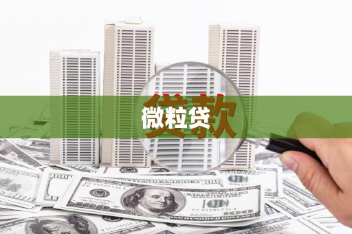 石屏微粒贷