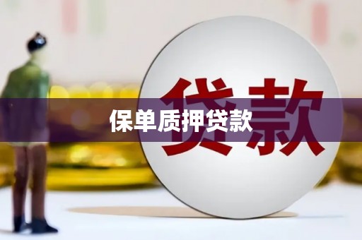 石屏保单质押贷款