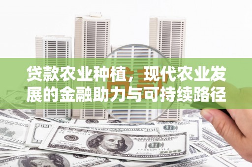 石屏贷款农业种植，现代农业发展的金融助力与可持续路径