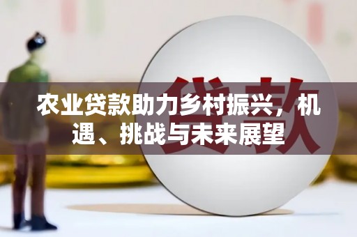 石屏农业贷款助力乡村振兴，机遇、挑战与未来展望