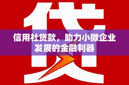 石屏信用社贷款，助力小微企业发展的金融利器