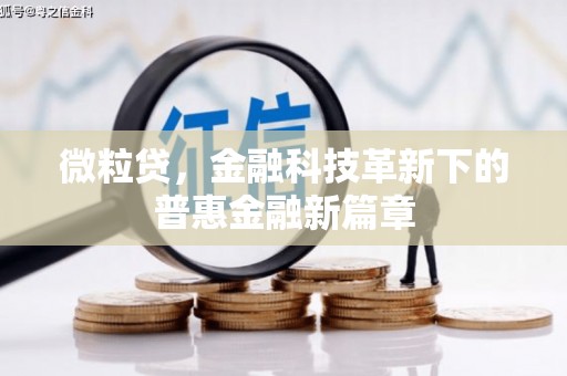 石屏微粒贷，金融科技革新下的普惠金融新篇章
