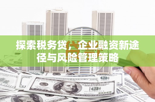 石屏探索税务贷，企业融资新途径与风险管理策略