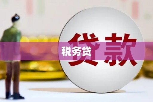 石屏税务贷
