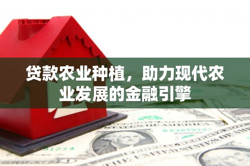 石屏贷款农业种植，助力现代农业发展的金融引擎