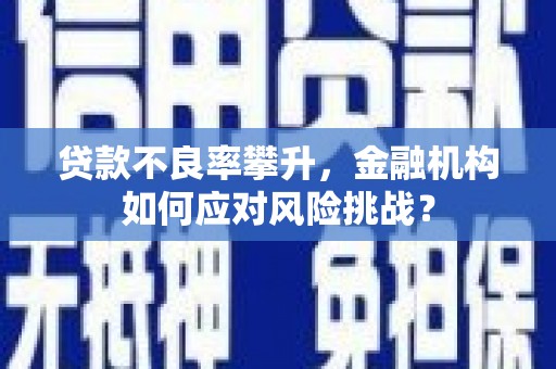 石屏贷款不良率攀升，金融机构如何应对风险挑战？