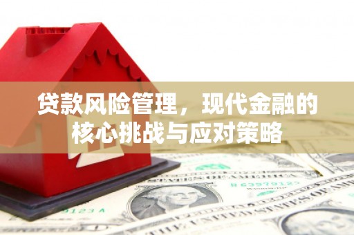 石屏贷款风险管理，现代金融的核心挑战与应对策略