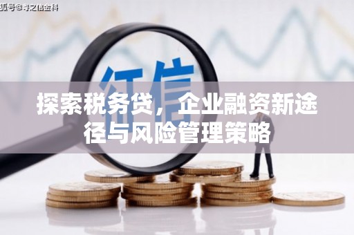 石屏探索税务贷，企业融资新途径与风险管理策略
