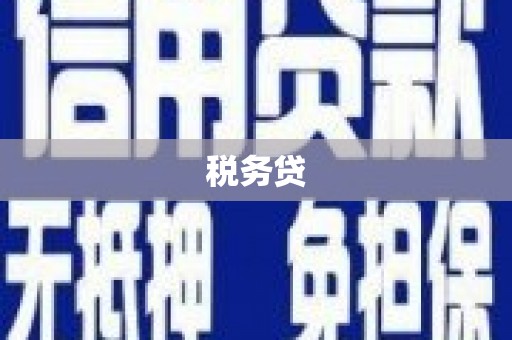 石屏税务贷