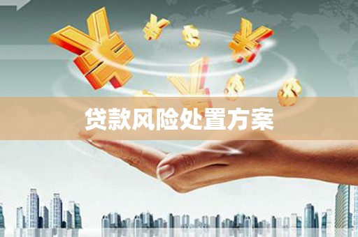 石屏贷款风险处置方案