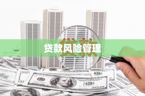 石屏贷款风险管理