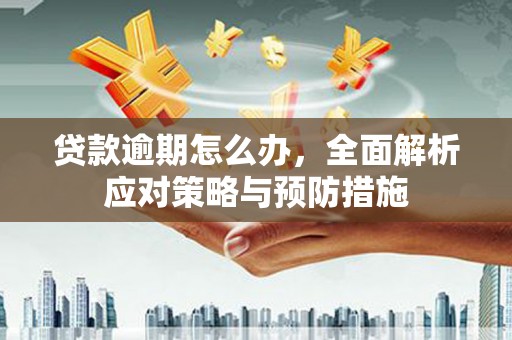 石屏贷款逾期怎么办，全面解析应对策略与预防措施