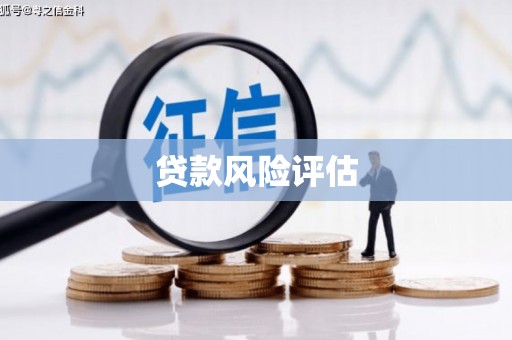 石屏贷款风险评估