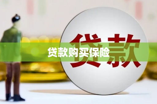 石屏贷款购买保险