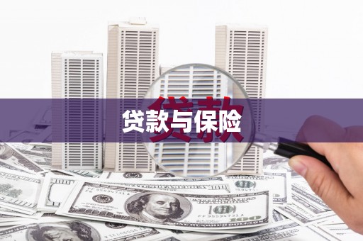 石屏贷款与保险