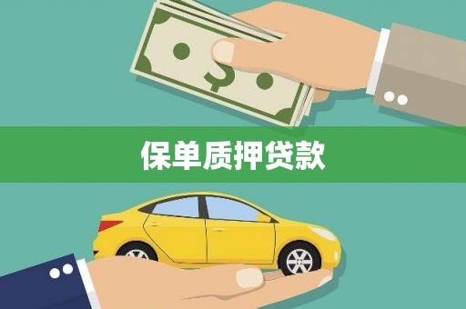 石屏保单质押贷款