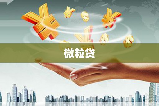 石屏微粒贷