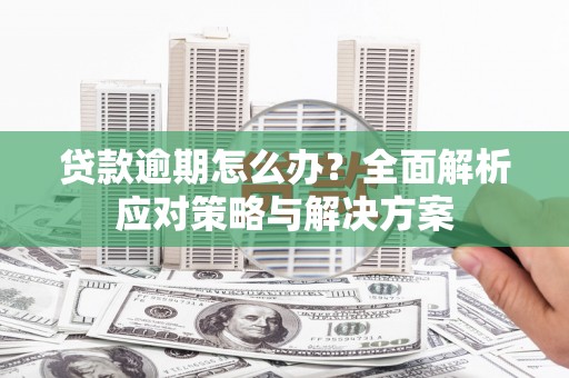 石屏贷款逾期怎么办？全面解析应对策略与解决方案