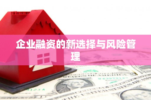 石屏企业融资的新选择与风险管理