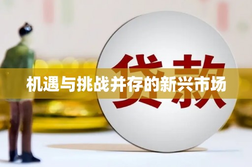石屏机遇与挑战并存的新兴市场