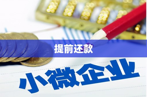 石屏提前还款