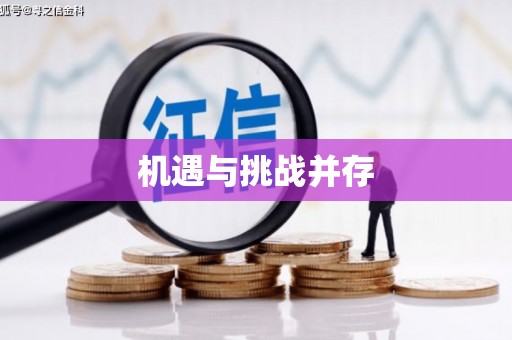 石屏机遇与挑战并存